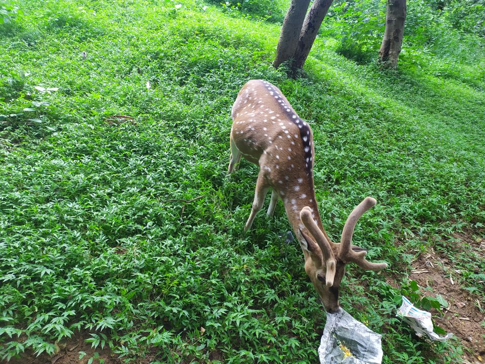 Photo of Pocharam Lake Medak Dist. by Shaker