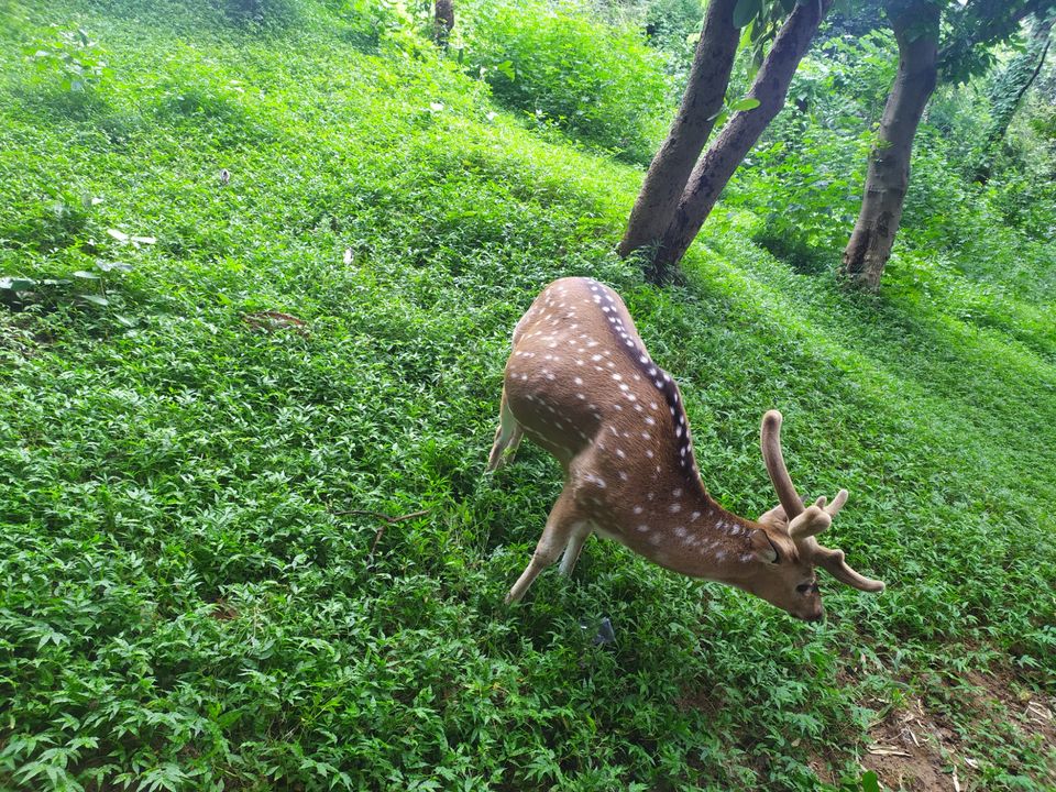 Photo of Pocharam Lake Medak Dist. by Shaker