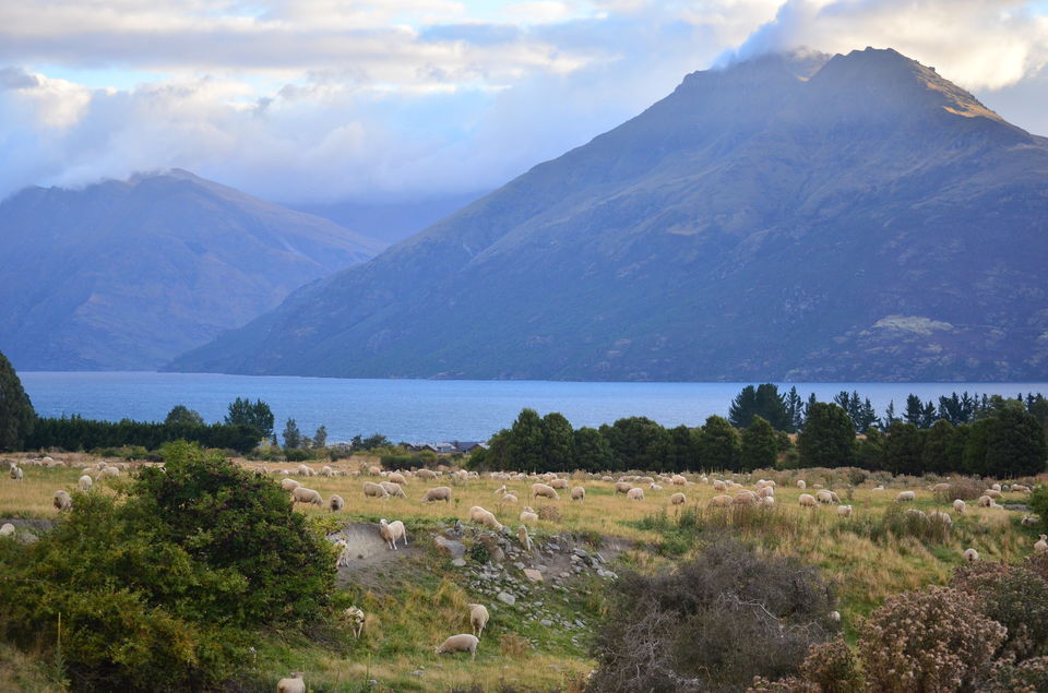 Photo of Epic Road Trip in New Zealand 1/2 by Travel Keeday | Sakshi & Deejay
