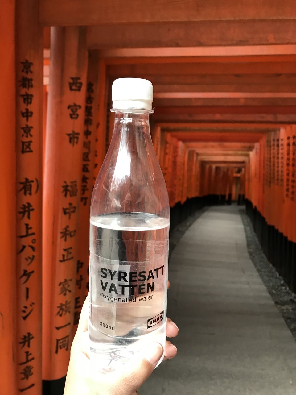 Photo of Bottle, our Travel Buddy 2/2 by Travel Keeday | Sakshi & Deejay