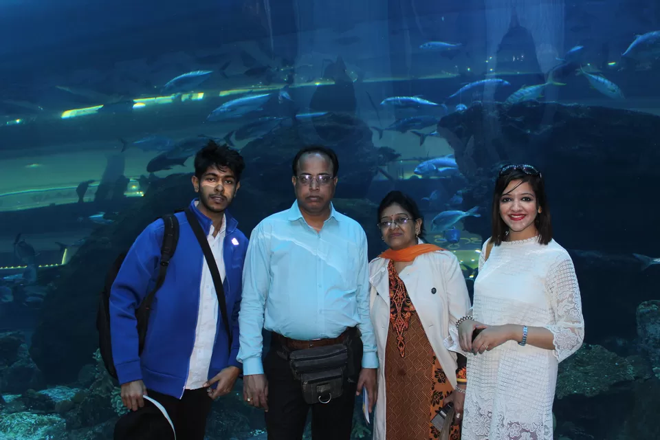 Photo of Dubai Aquarium & Underwater Zoo - شارع المركز المالي، - Dubai - United Arab Emirates by Gautam Narang