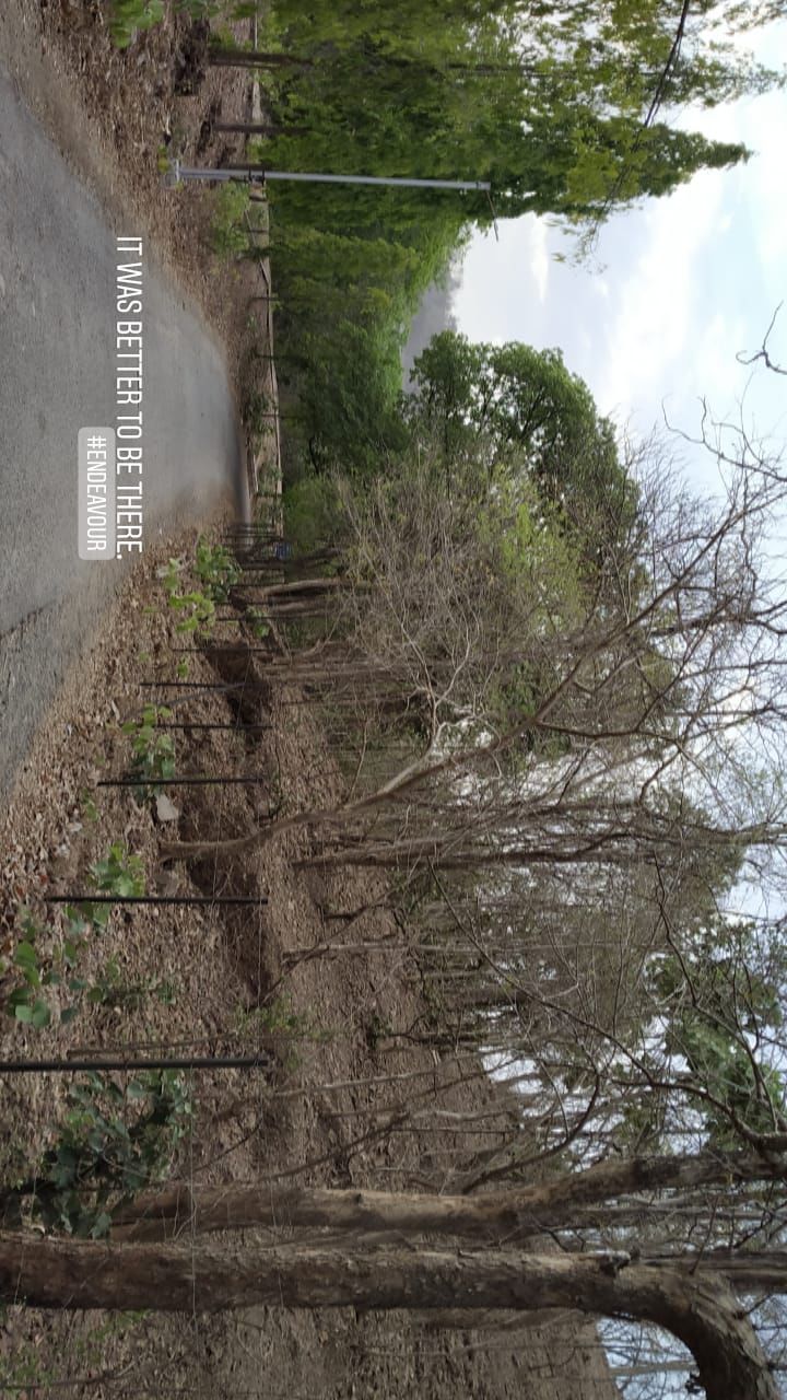 Photo of Polo Forest, Vijayanagar, Gujarat, India by Shyam Maradiya