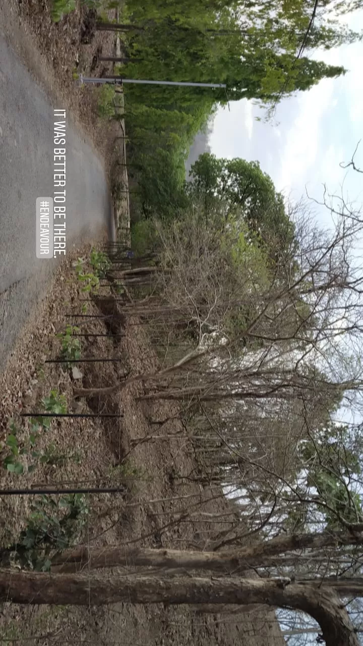 Photo of Polo Forest, Vijayanagar, Gujarat, India by Shyam Maradiya
