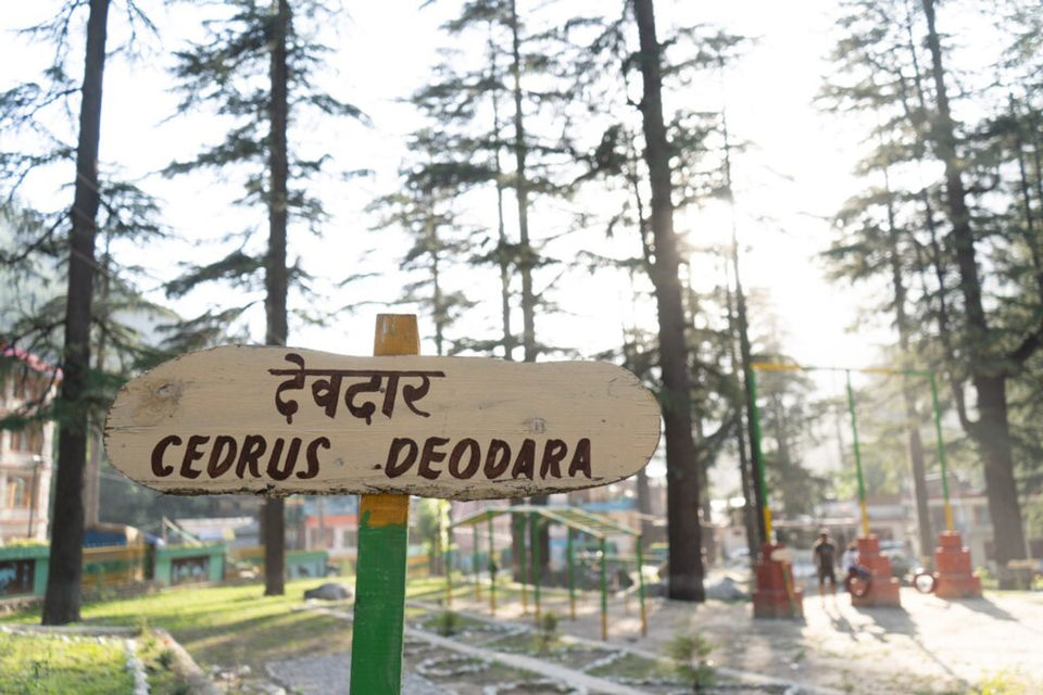 Photo of Kasol, Himachal Pradesh, India by Wandering Pixel