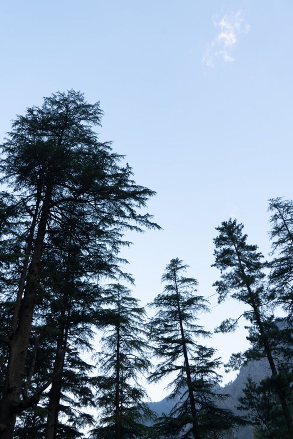 Photo of Kasol, Himachal Pradesh, India by Wandering Pixel