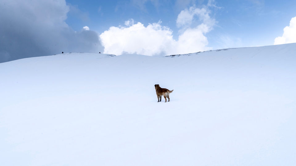 Photo of Sar Pass Trek, Kasol, Himachal Pradesh, India by Wandering Pixel