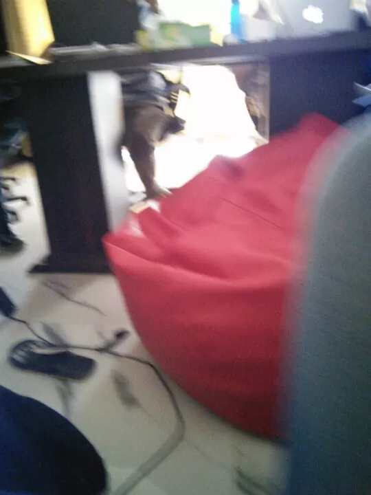 Photo of Manali, Himachal Pradesh, India by Joe