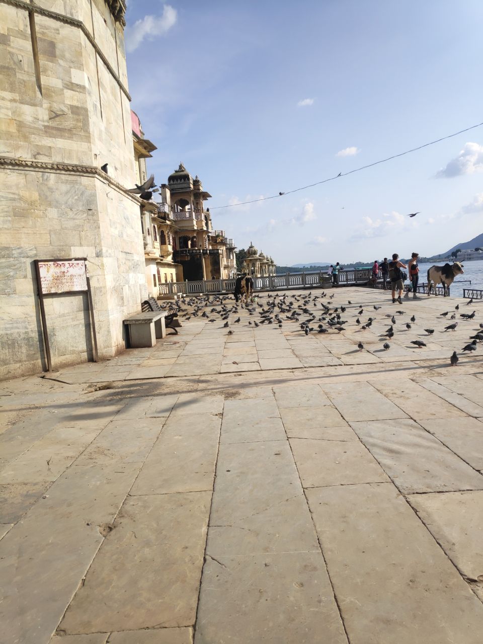 Photo of Solo dream calling.. by Darshana Menon