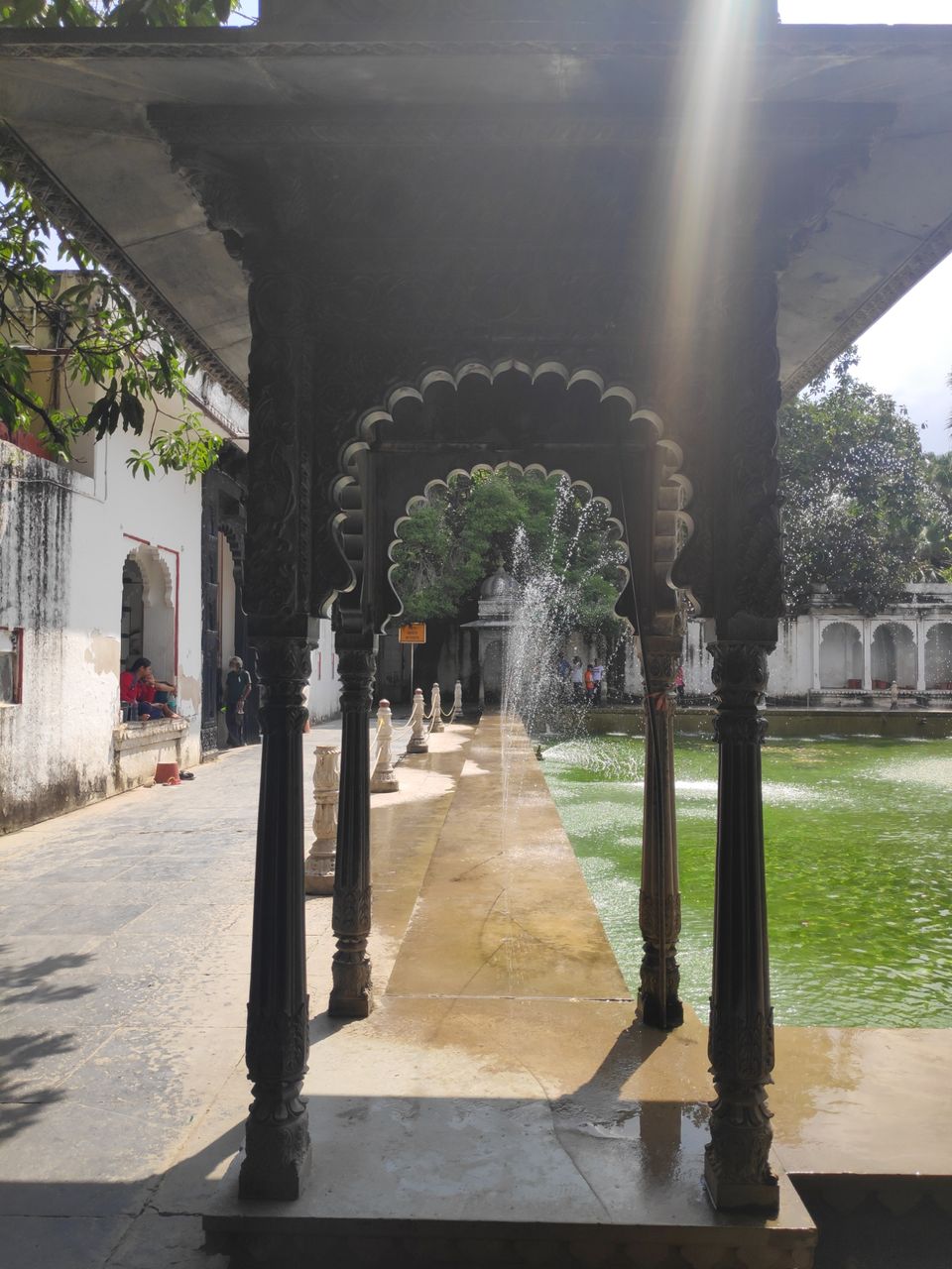 Photo of Solo dream calling.. by Darshana Menon