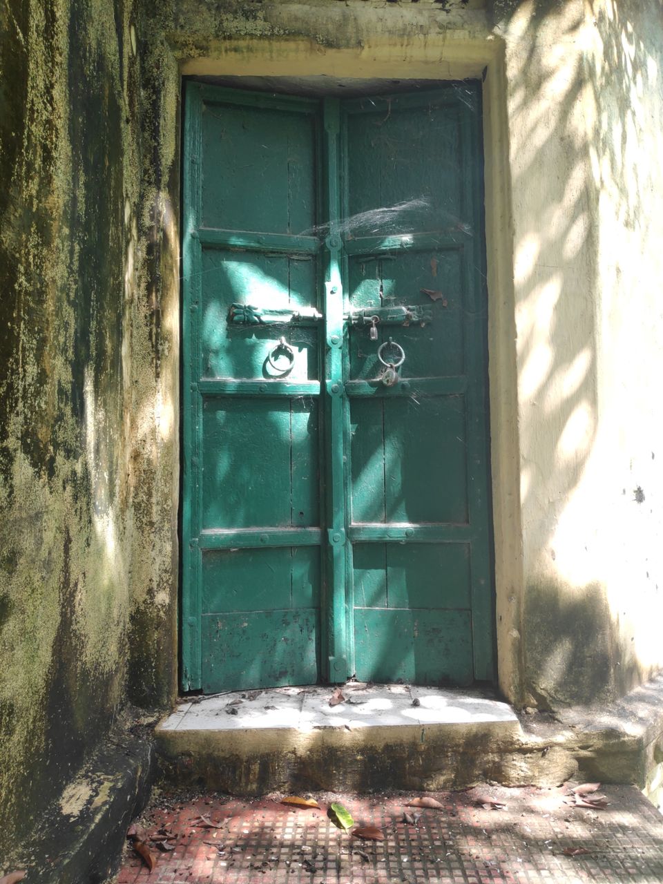 Photo of Solo dream calling.. by Darshana Menon