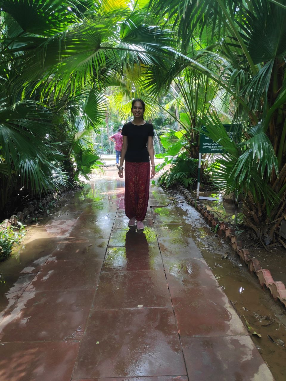 Photo of Solo dream calling.. by Darshana Menon