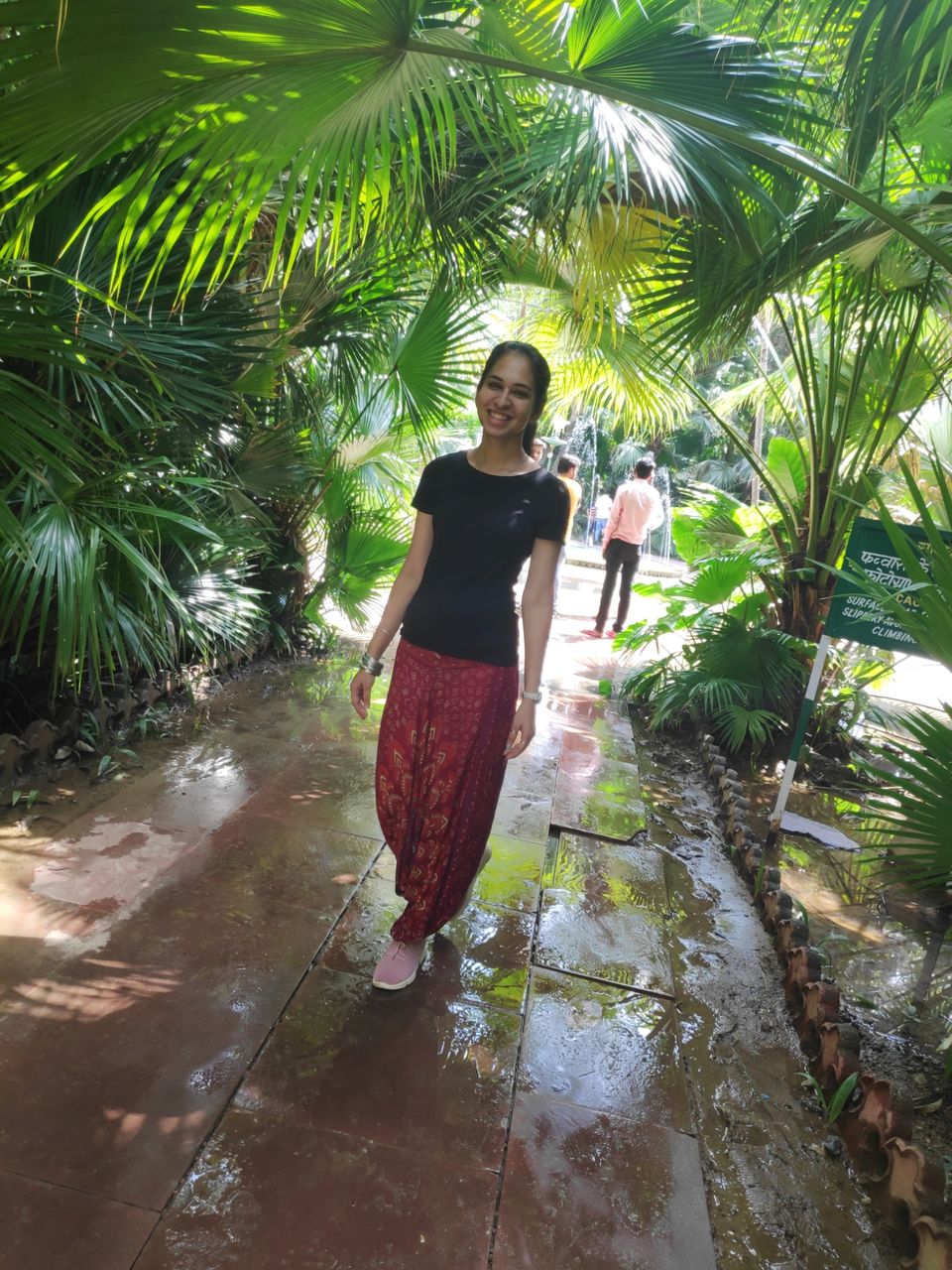 Photo of Solo dream calling.. by Darshana Menon