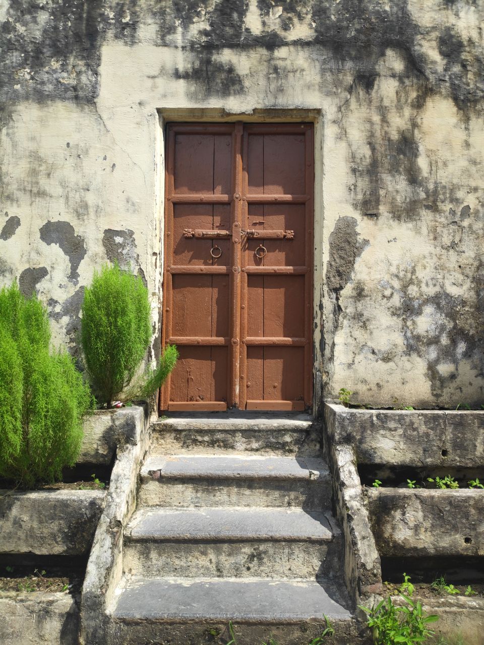 Photo of Solo dream calling.. by Darshana Menon