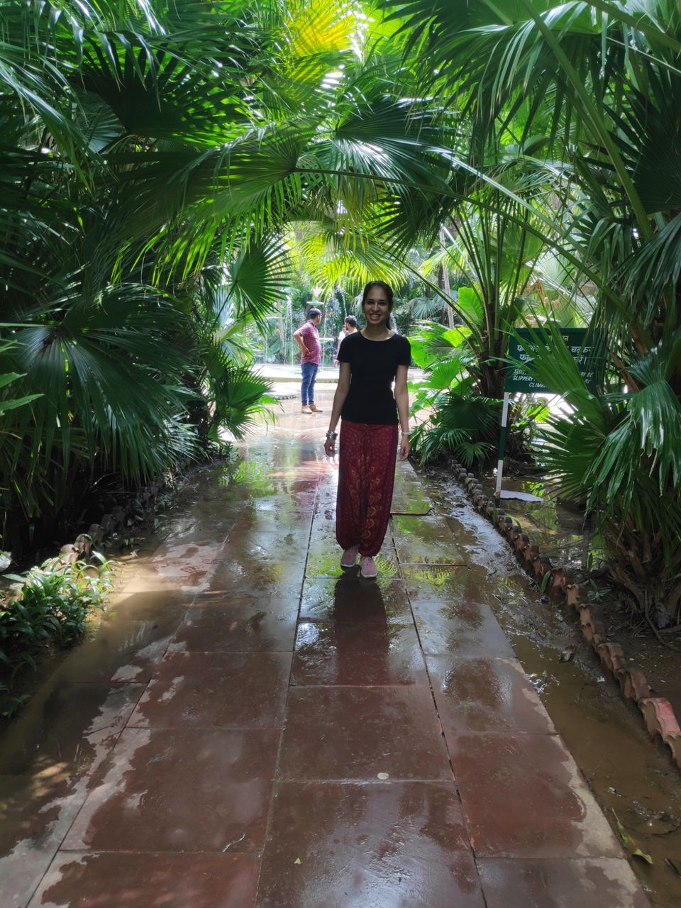 Photo of Solo dream calling.. by Darshana Menon