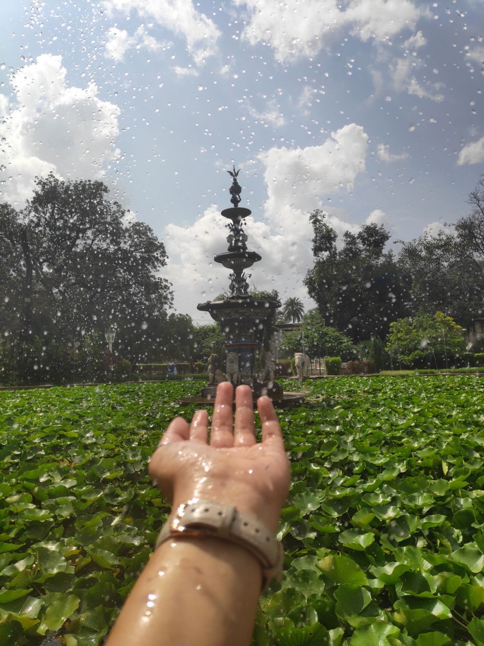 Photo of Solo dream calling.. by Darshana Menon