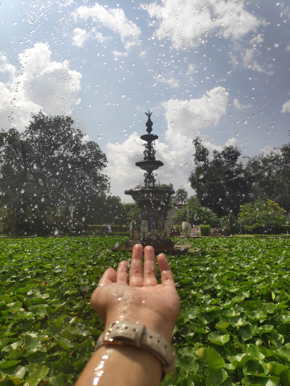 Photo of Solo dream calling.. by Darshana Menon