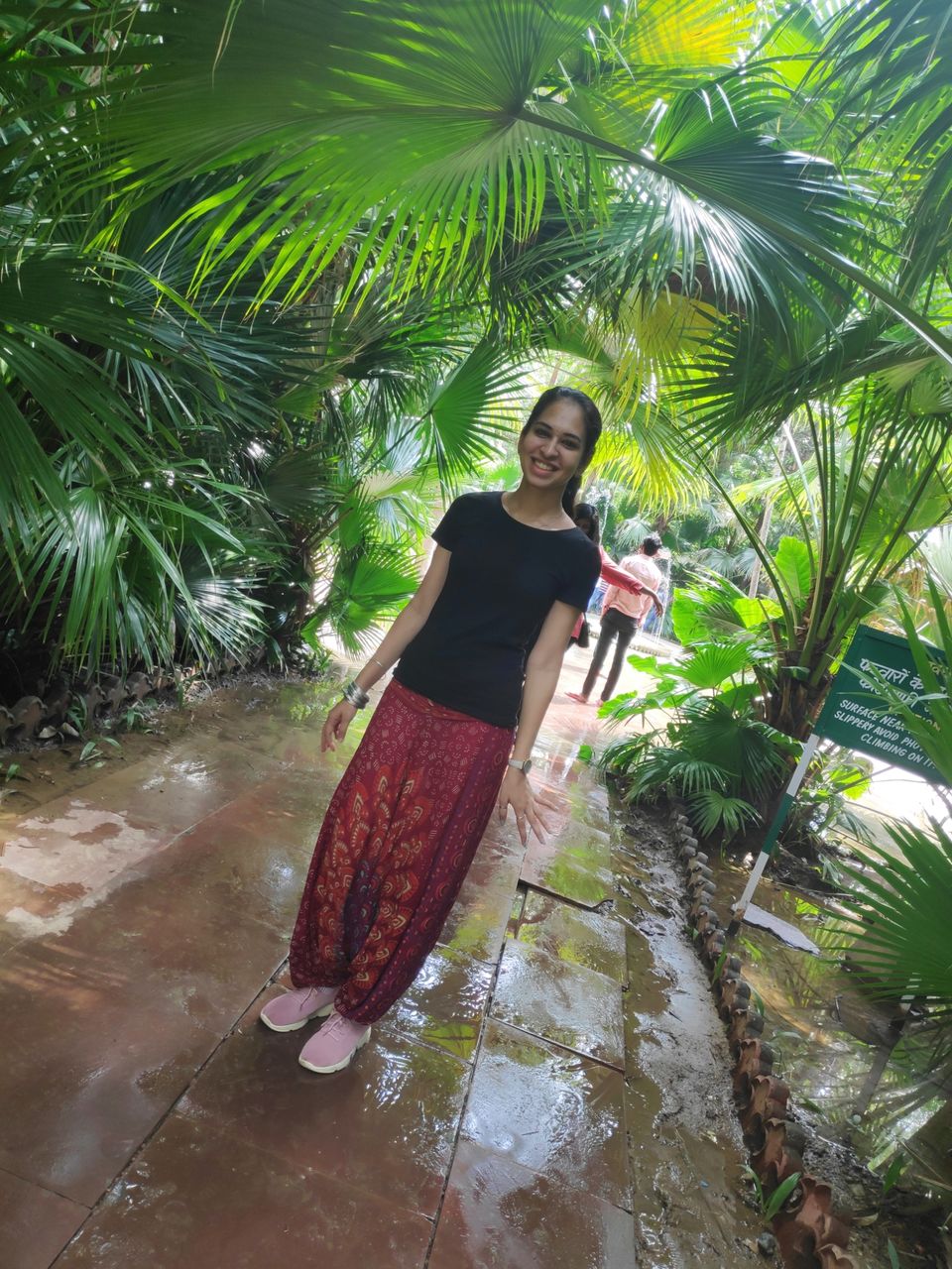 Photo of Solo dream calling.. by Darshana Menon