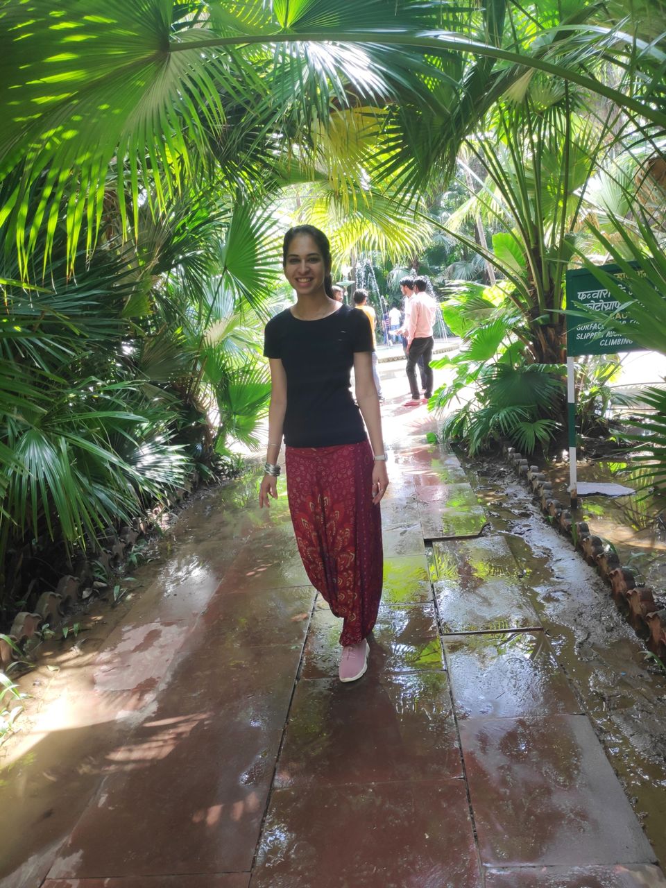 Photo of Solo dream calling.. by Darshana Menon