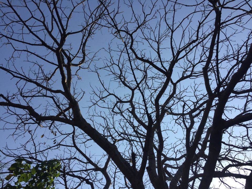 Photo of DAMAN by Sandhya Gawde
