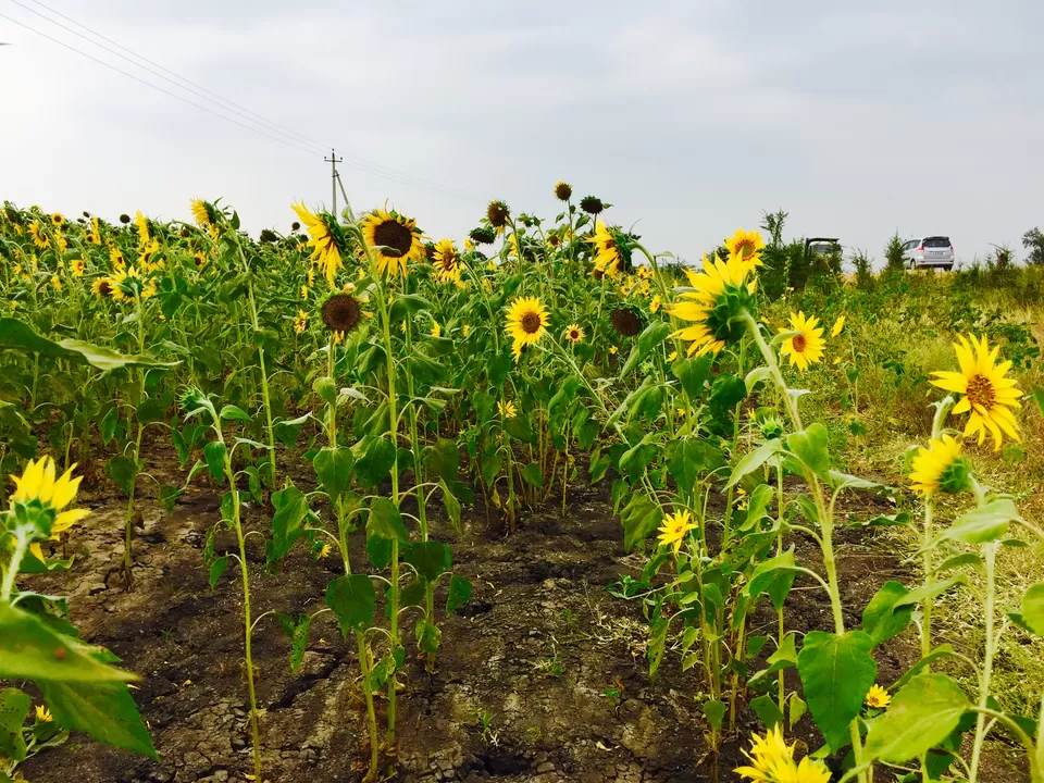 Photo of Hampi, Karnataka, India by Sandhya Gawde
