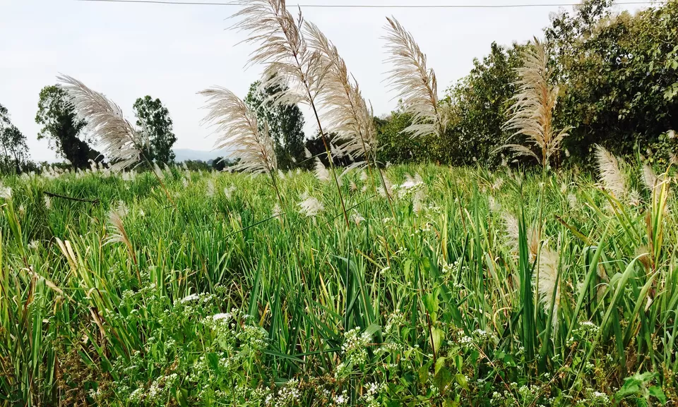 Photo of Hampi, Karnataka, India by Sandhya Gawde