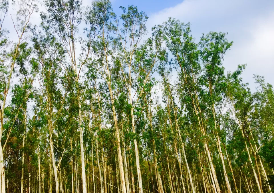 Photo of Hampi, Karnataka, India by Sandhya Gawde