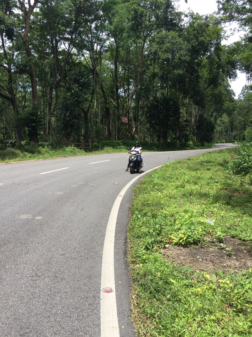 Photo of Coorg The Scotland of India by Sandhya Gawde