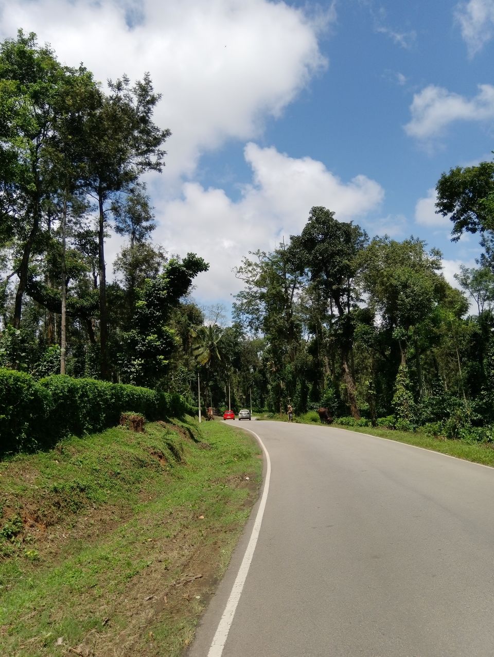Photo of Coorg The Scotland of India by Sandhya Gawde