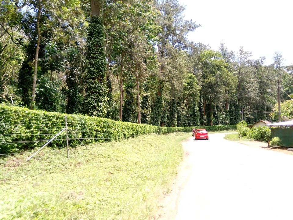 Photo of Coorg The Scotland of India by Sandhya Gawde