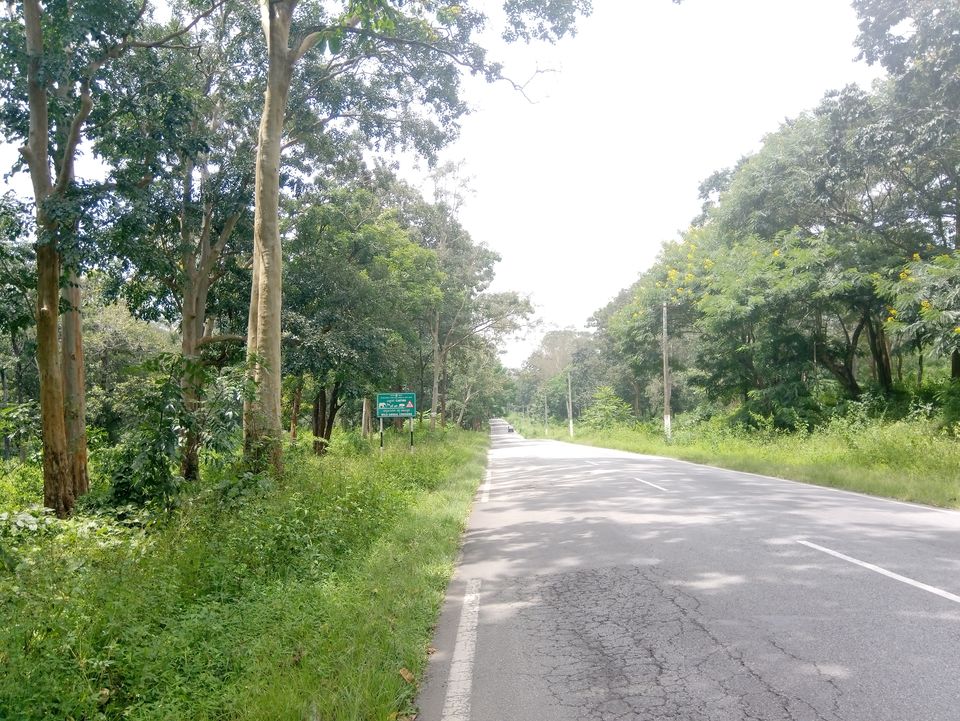 Photo of Coorg The Scotland of India by Sandhya Gawde