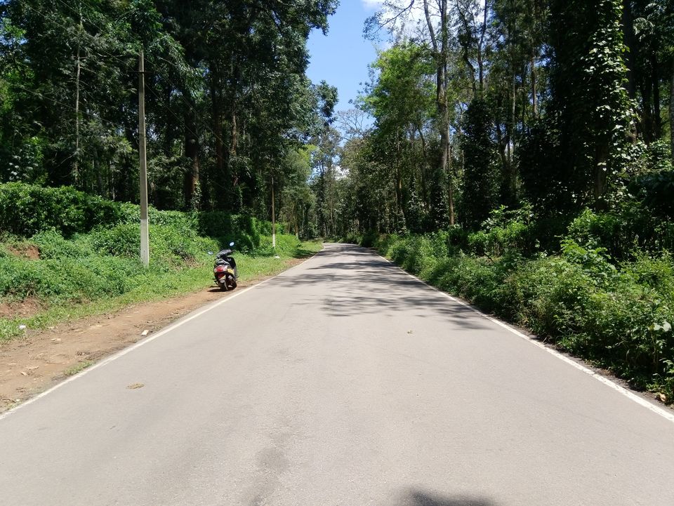 Photo of Coorg The Scotland of India by Sandhya Gawde
