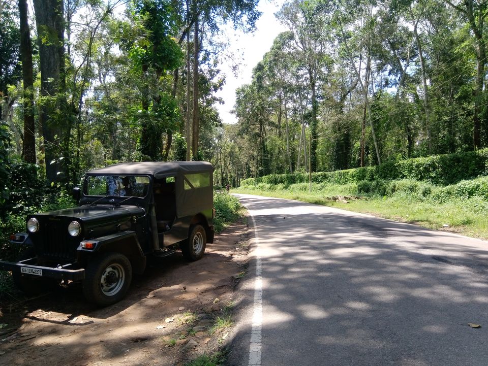 Photo of Coorg The Scotland of India by Sandhya Gawde