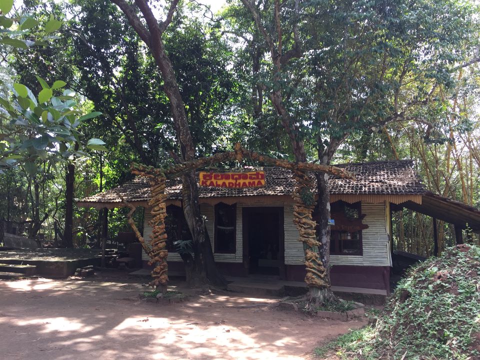 Photo of Nisargadhama Reserve, Mangalore - Mysore Highway, Baichanalli, Karnataka, India by Sandhya Gawde