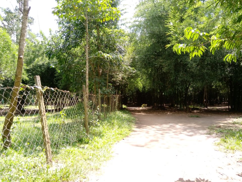 Photo of Nisargadhama Reserve, Mangalore - Mysore Highway, Baichanalli, Karnataka, India by Sandhya Gawde