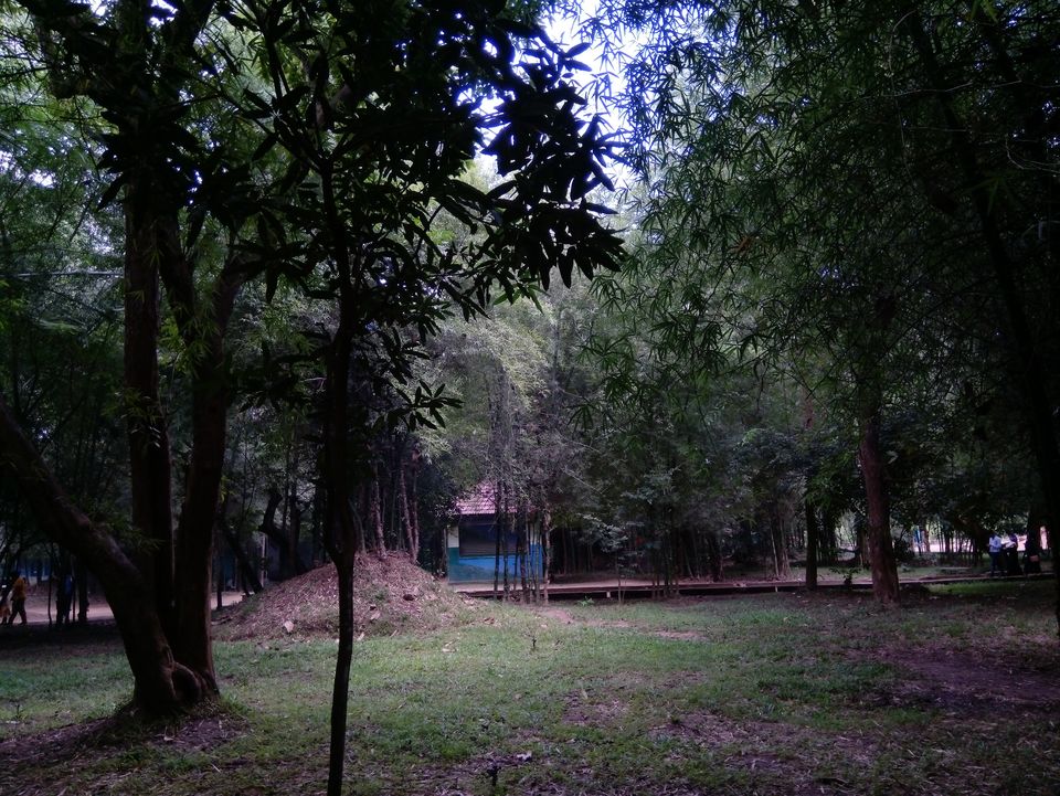 Photo of Nisargadhama Reserve, Mangalore - Mysore Highway, Baichanalli, Karnataka, India by Sandhya Gawde