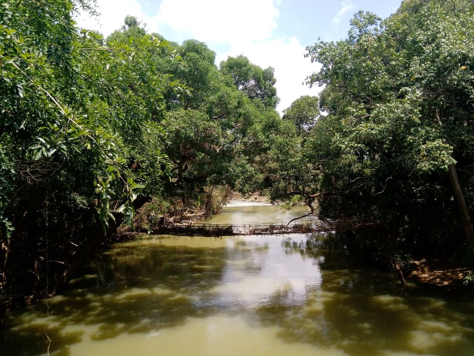 Photo of Nisargadhama Reserve, Mangalore - Mysore Highway, Baichanalli, Karnataka, India by Sandhya Gawde