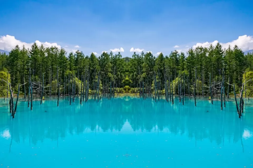 Photo of Hokkaido, Japan by Wander_with_hakunamatata