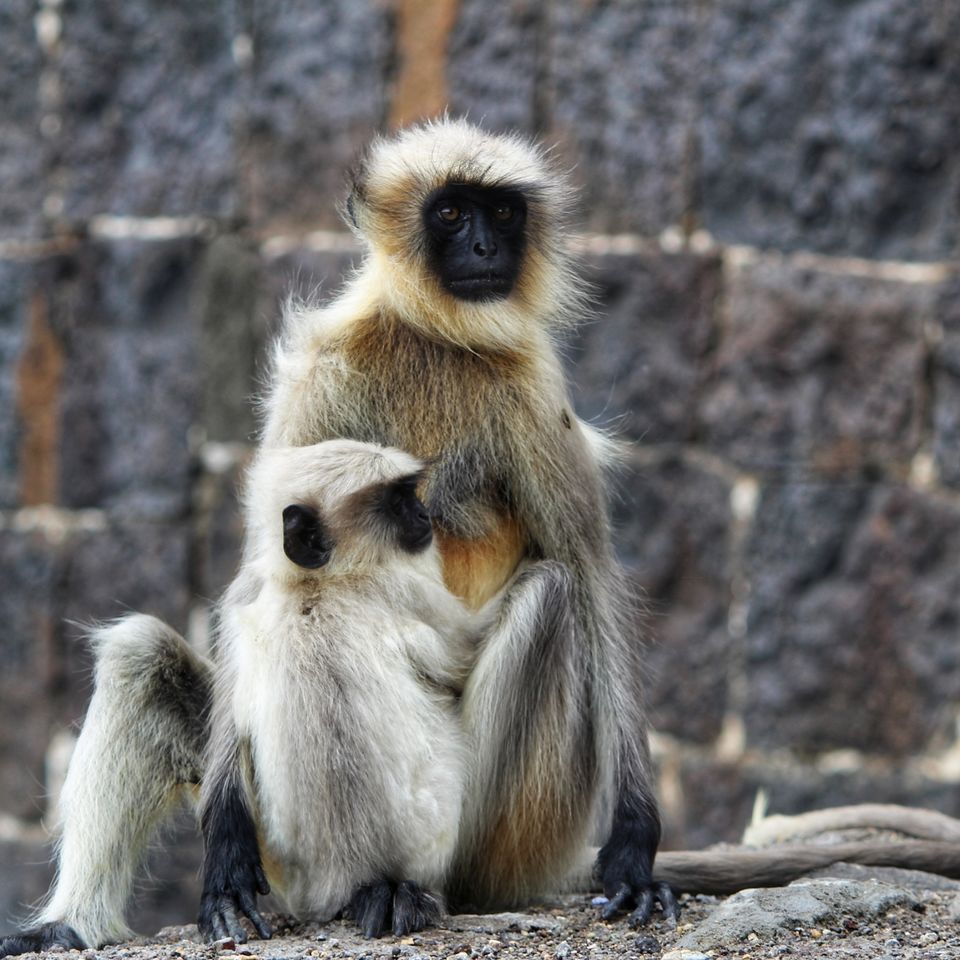 Photo of Aurangabad by chinmay sawant