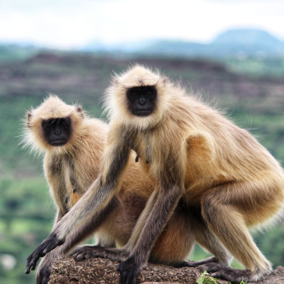 Photo of Aurangabad by chinmay sawant