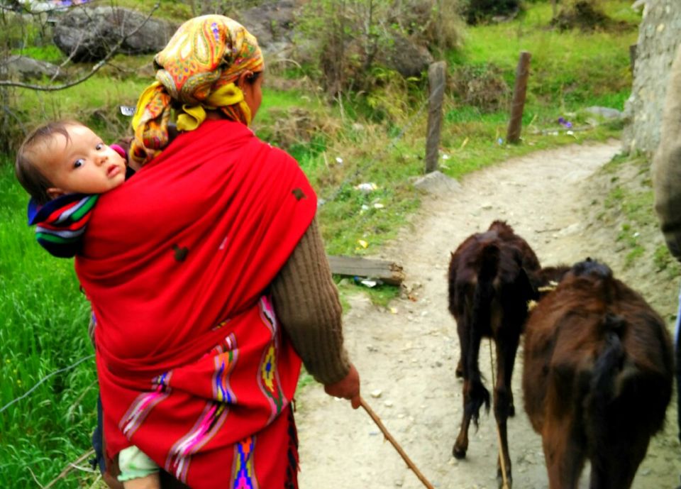 Photo of Hippie Trail of magical valley (Kasol, Tosh and Kheerganga) 2/6 by Avdesh Negi