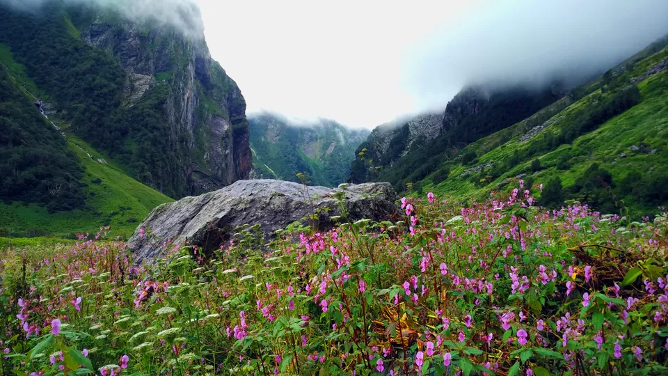 Photo of Valley of Flowers National Park, Chamoli, Uttarakhand, India by Avdesh Negi