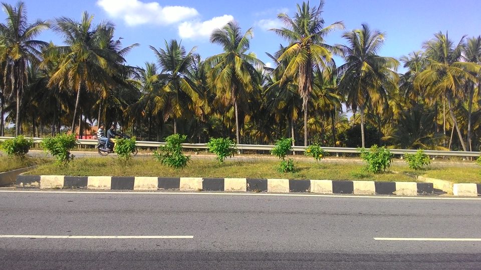 Photo of Cycling from Bangalore to Goa 5/37 by ANIKET KUNDU
