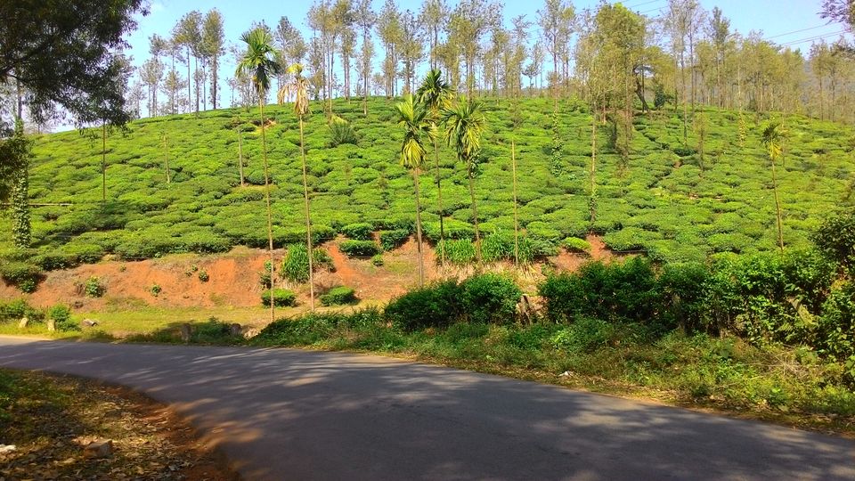 Photo of Cycling from Bangalore to Goa 24/37 by ANIKET KUNDU