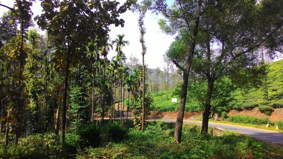 Photo of Cycling from Bangalore to Goa 25/37 by ANIKET KUNDU
