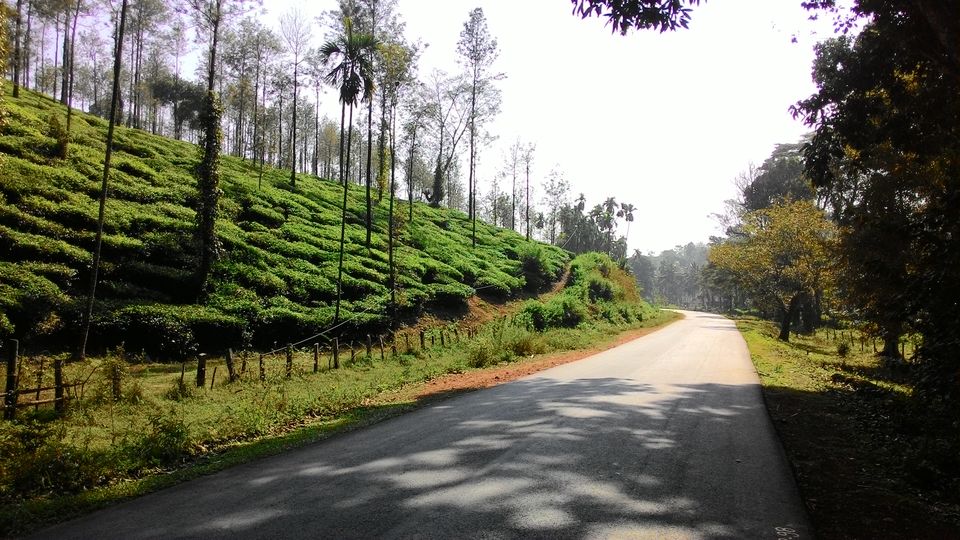 Photo of Cycling from Bangalore to Goa 26/37 by ANIKET KUNDU