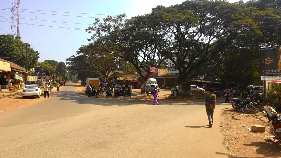 Photo of Halady, Karnataka, India by ANIKET KUNDU