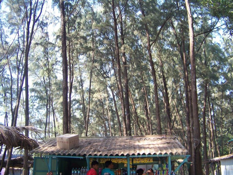 Photo of Pedaling from Mumbai to Goa Via Coastal Route 8/23 by ANIKET KUNDU
