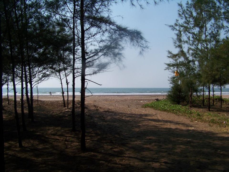 Photo of Pedaling from Mumbai to Goa Via Coastal Route 16/23 by ANIKET KUNDU