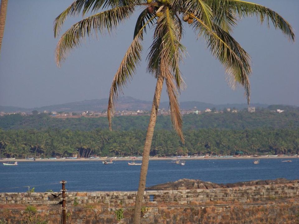 Photo of Pedaling from Mumbai to Goa Via Coastal Route 19/23 by ANIKET KUNDU