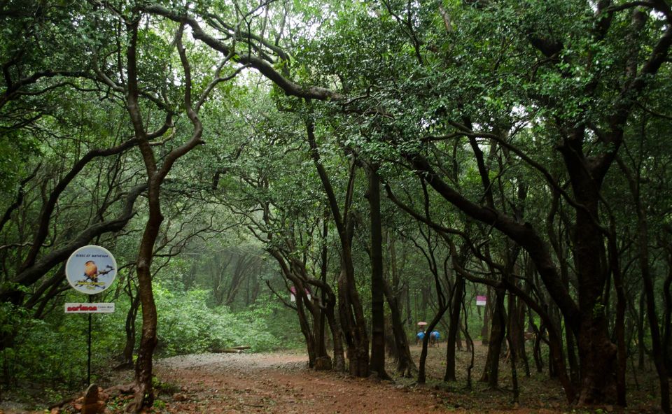 Photo of The Quitnessential rain capital of Mumbai_ Matheran by ANIKET KUNDU